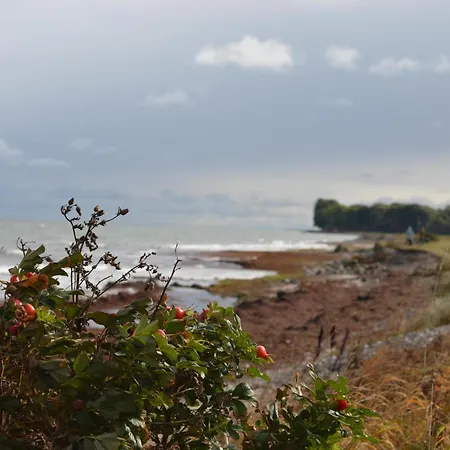 Strandhaus Am Muehlendamm - Meerblick, Sauna Und Ofen Feriehus